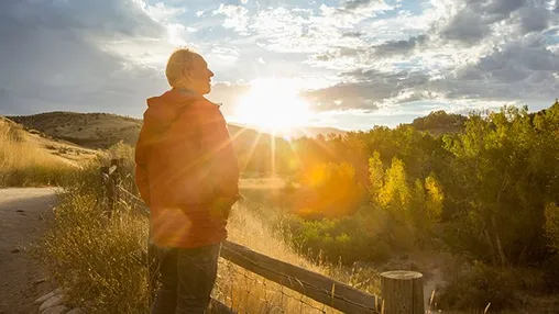 Vitamin D: 7 Cara Alami Mendapatkannya dari Matahari dan Makanan